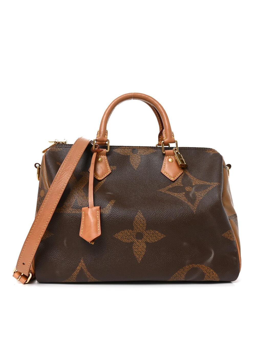 Louis Vuitton Reverse Giant Speedy #367072L23B